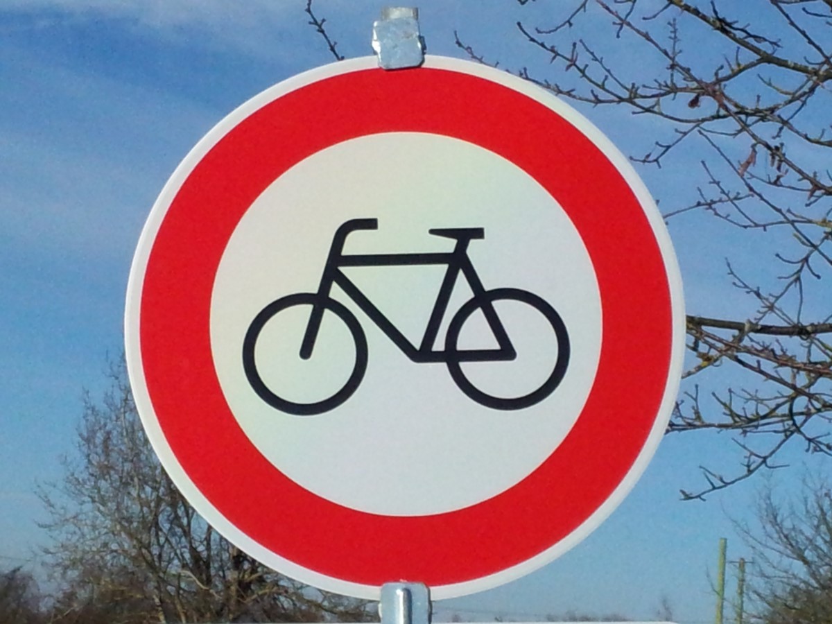 Radschild_Du_verb_(2)_res.jpg