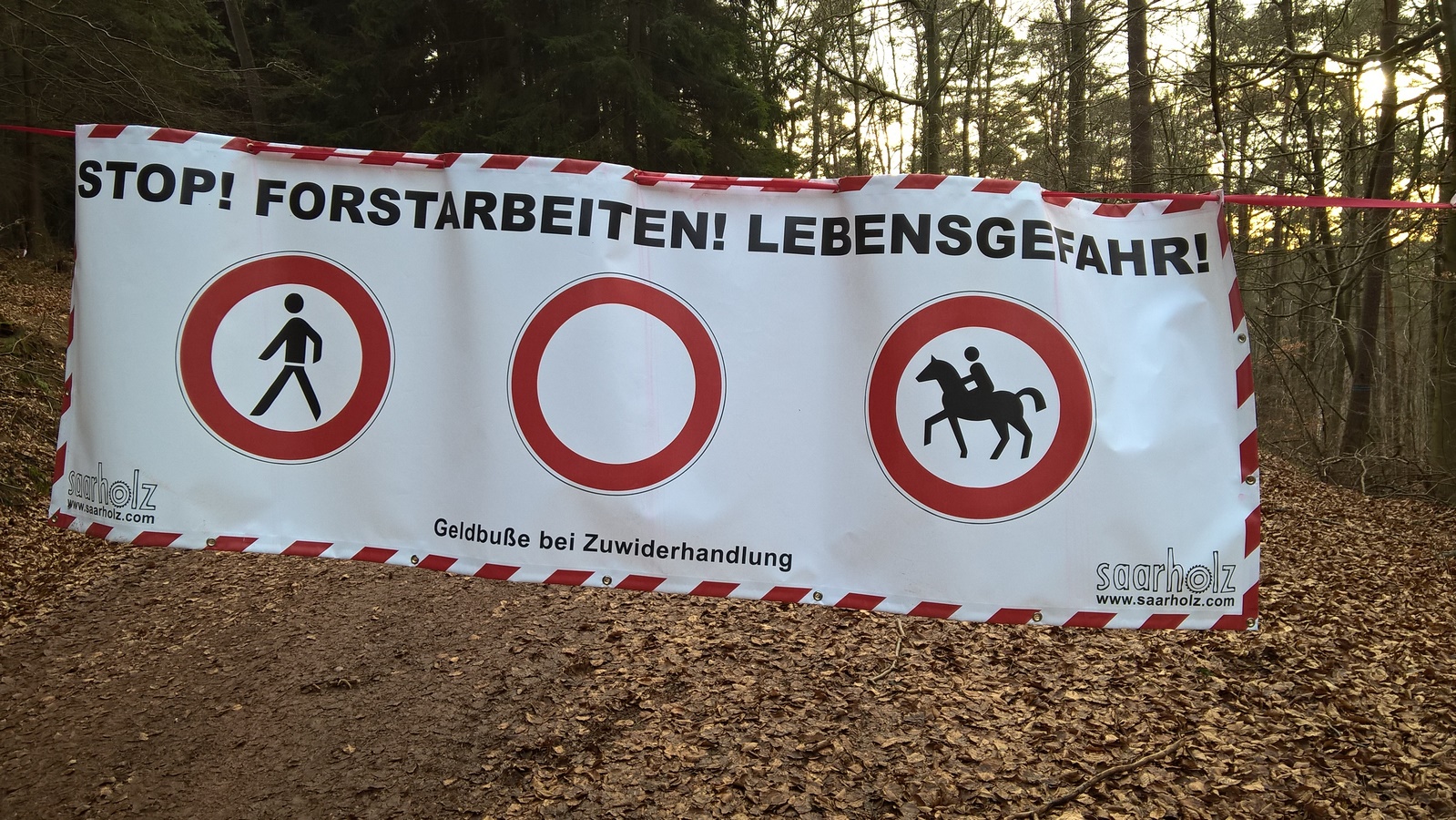 Radschild_Waldumkehr_res.jpg