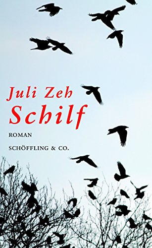 cover_schilf.jpg